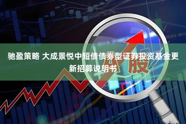 驰盈策略 大成景悦中短债债券型证券投资基金更新招募说明书