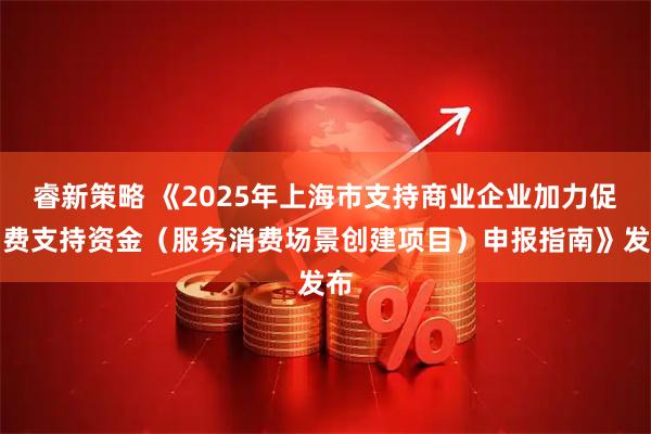 睿新策略 《2025年上海市支持商业企业加力促消费支持资金（服务消费场景创建项目）申报指南》发布