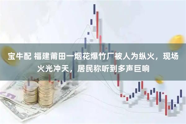 宝牛配 福建莆田一烟花爆竹厂被人为纵火，现场火光冲天，居民称听到多声巨响